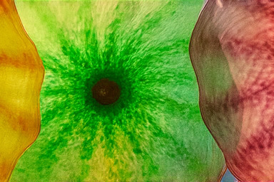 베타 존 치열한 경쟁