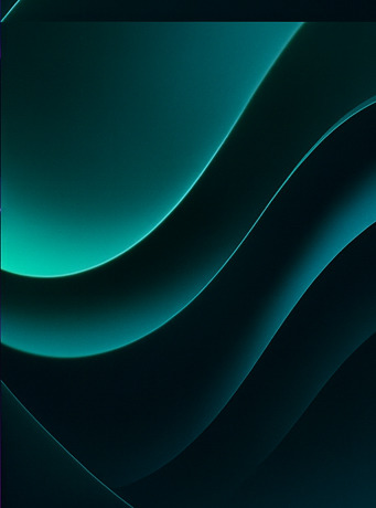 극한 몰입 체험